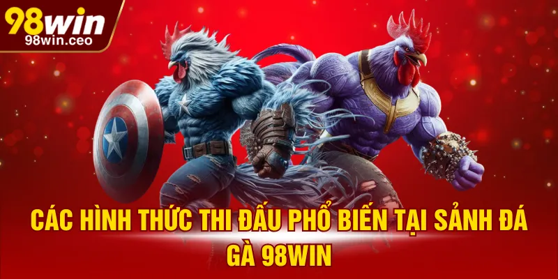 Các hình thức thi đấu phổ biến tại sảnh đá gà 98WIN