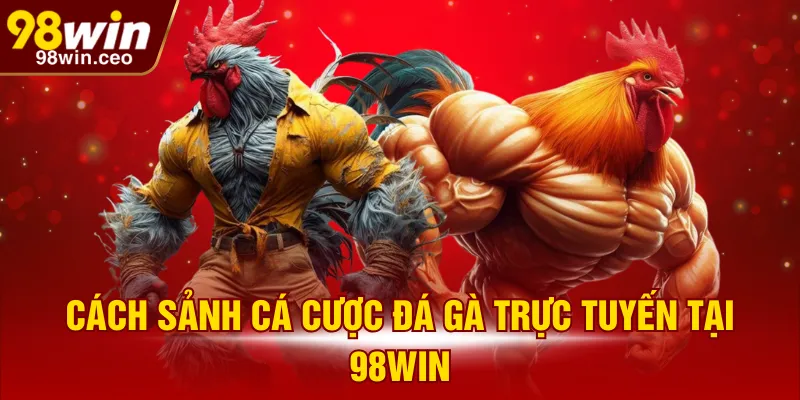 Cách sảnh cá cược đá gà trực tuyến tại 98WIN