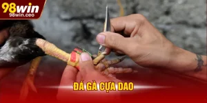 đá gà cựa dao