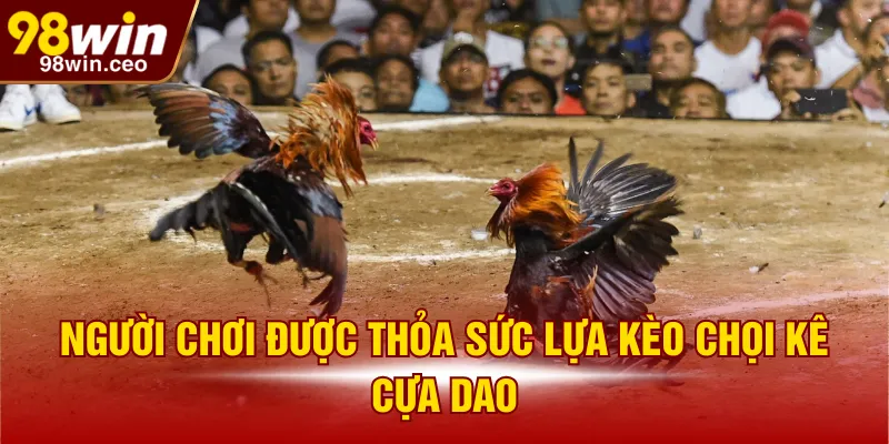 Người chơi được thỏa sức lựa kèo chọi kê cựa dao