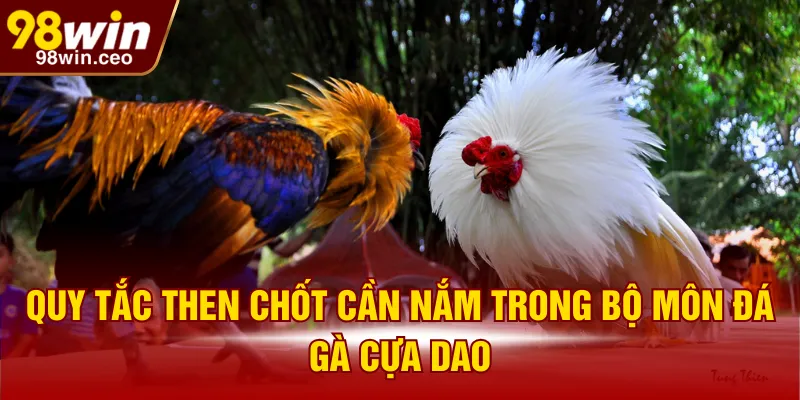 Quy tắc then chốt cần nắm trong bộ môn đá gà cựa dao