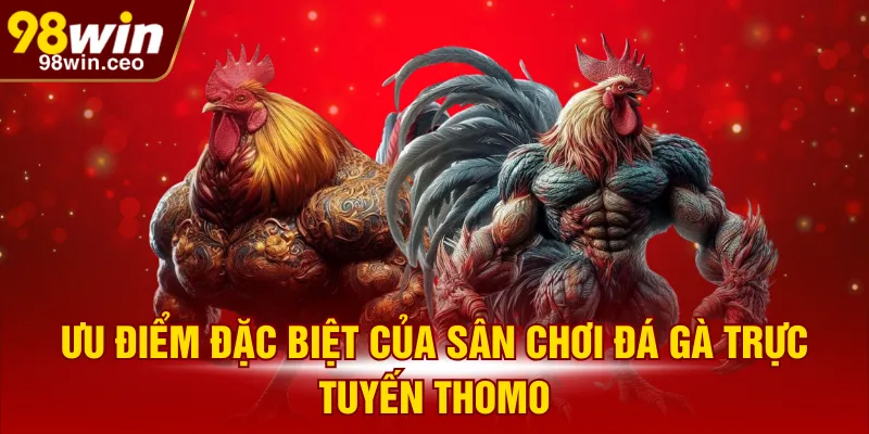 Ưu điểm đặc biệt của sân chơi đá gà trực tuyến Thomo